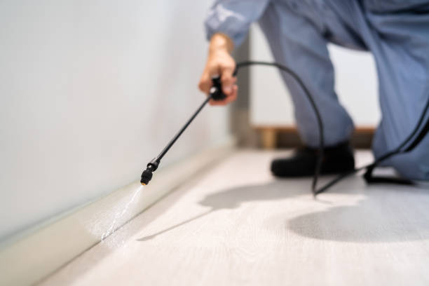 Bed Bug Pre-Treatment Preparation Assessment in Pineville