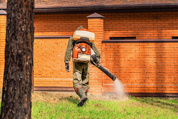 Bed Bug Clearance Verification and Documentation in Pineville